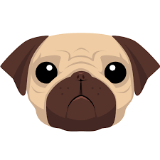 Pug